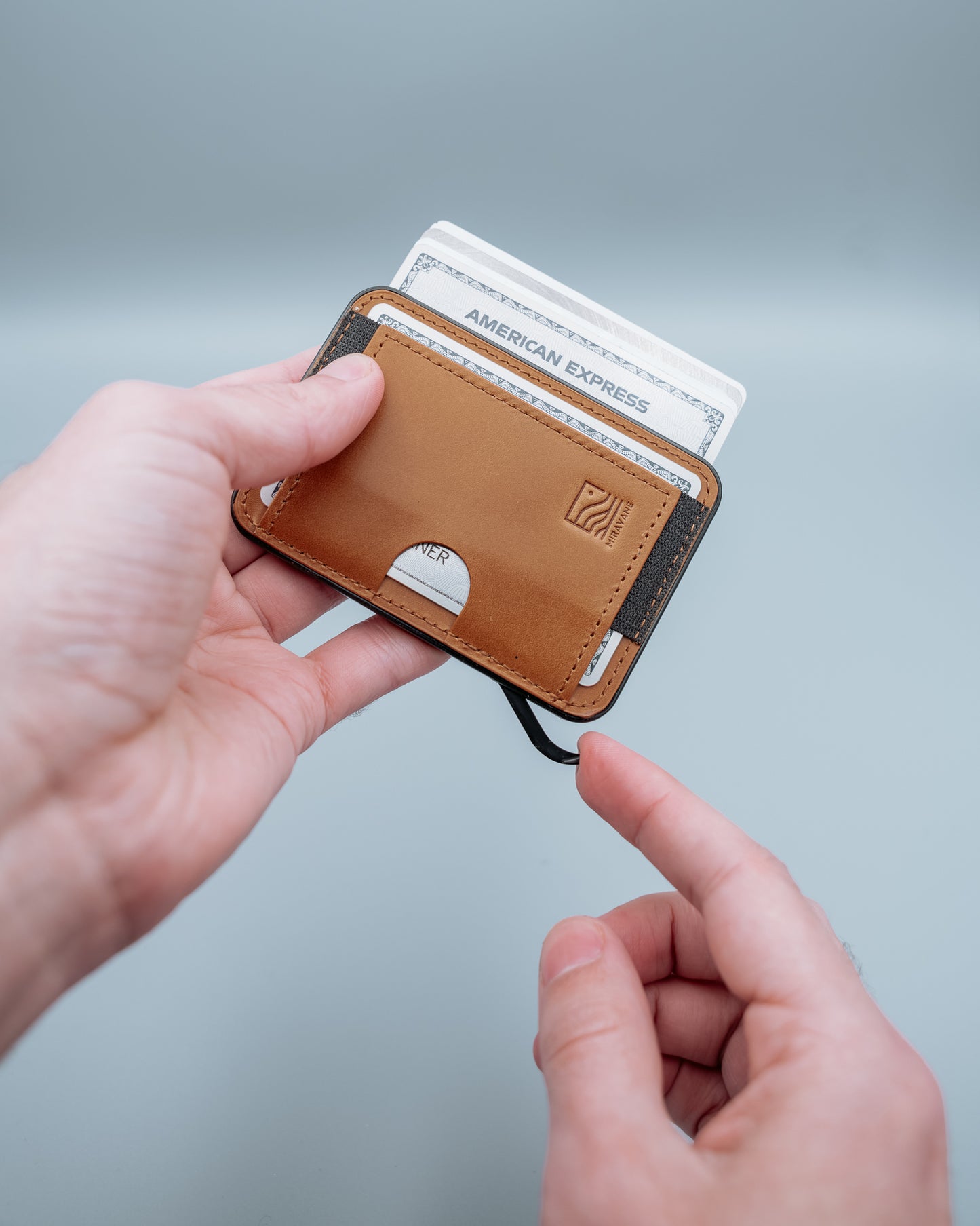 Oasis Wallet