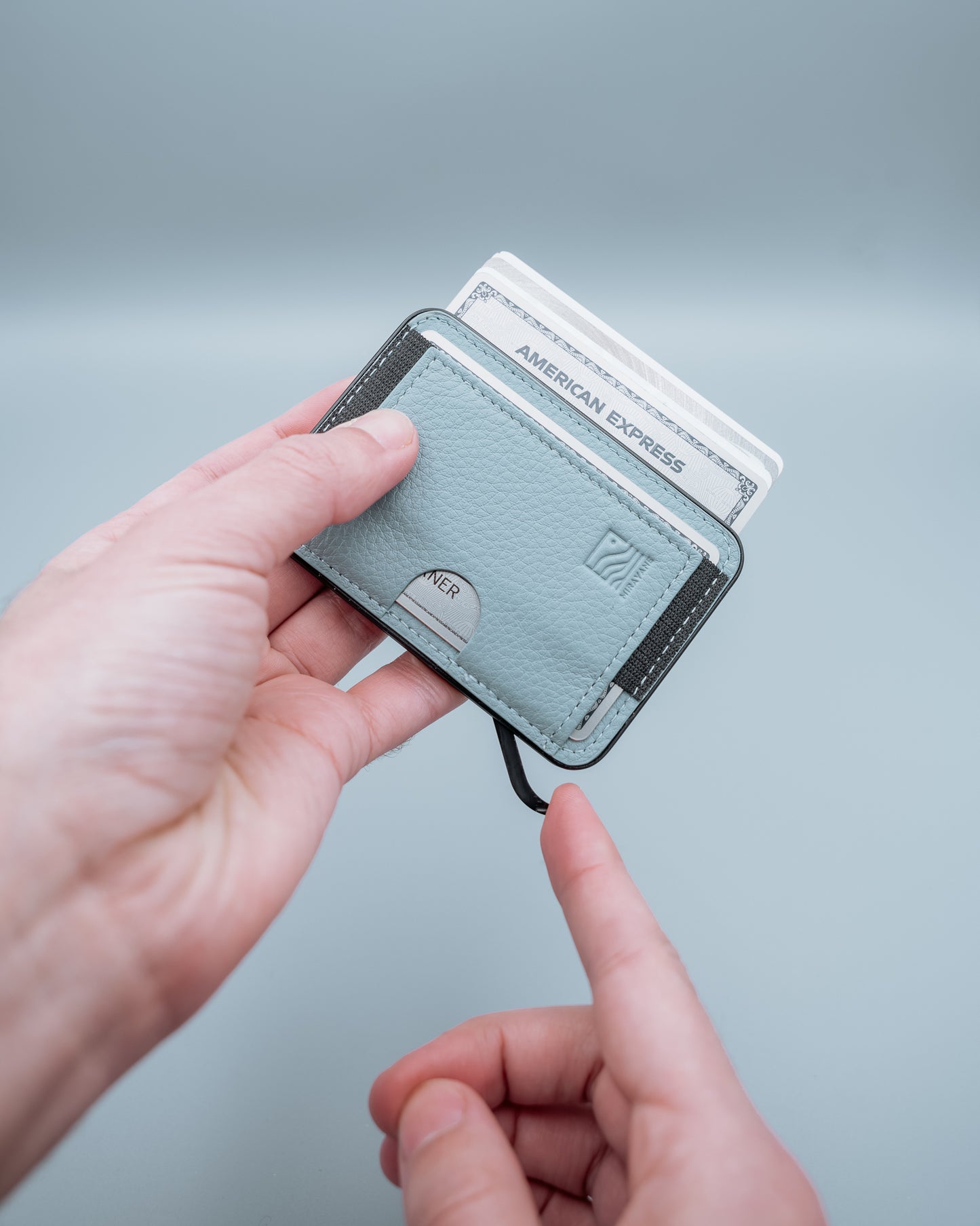 Oasis Wallet