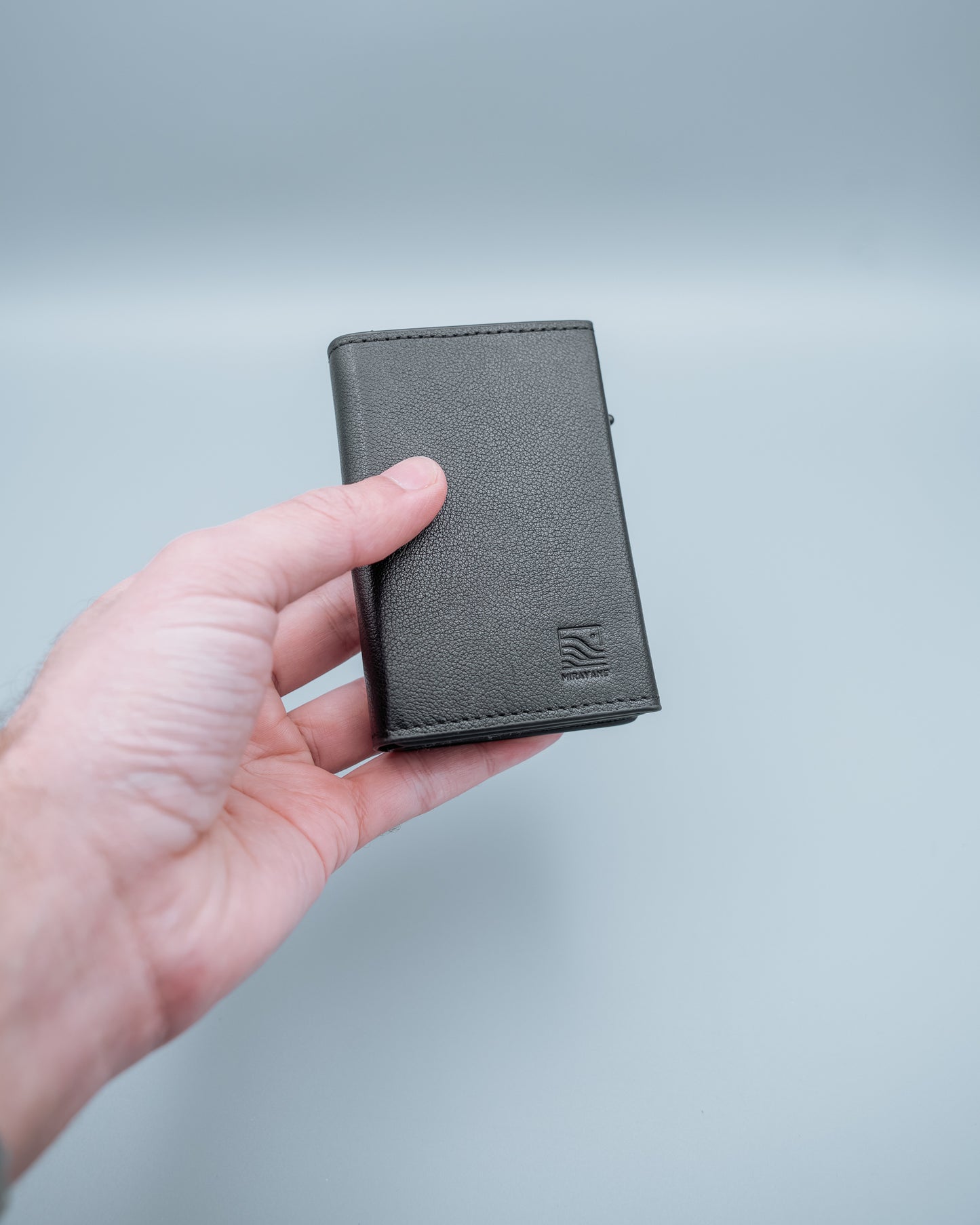 Savanna Wallet