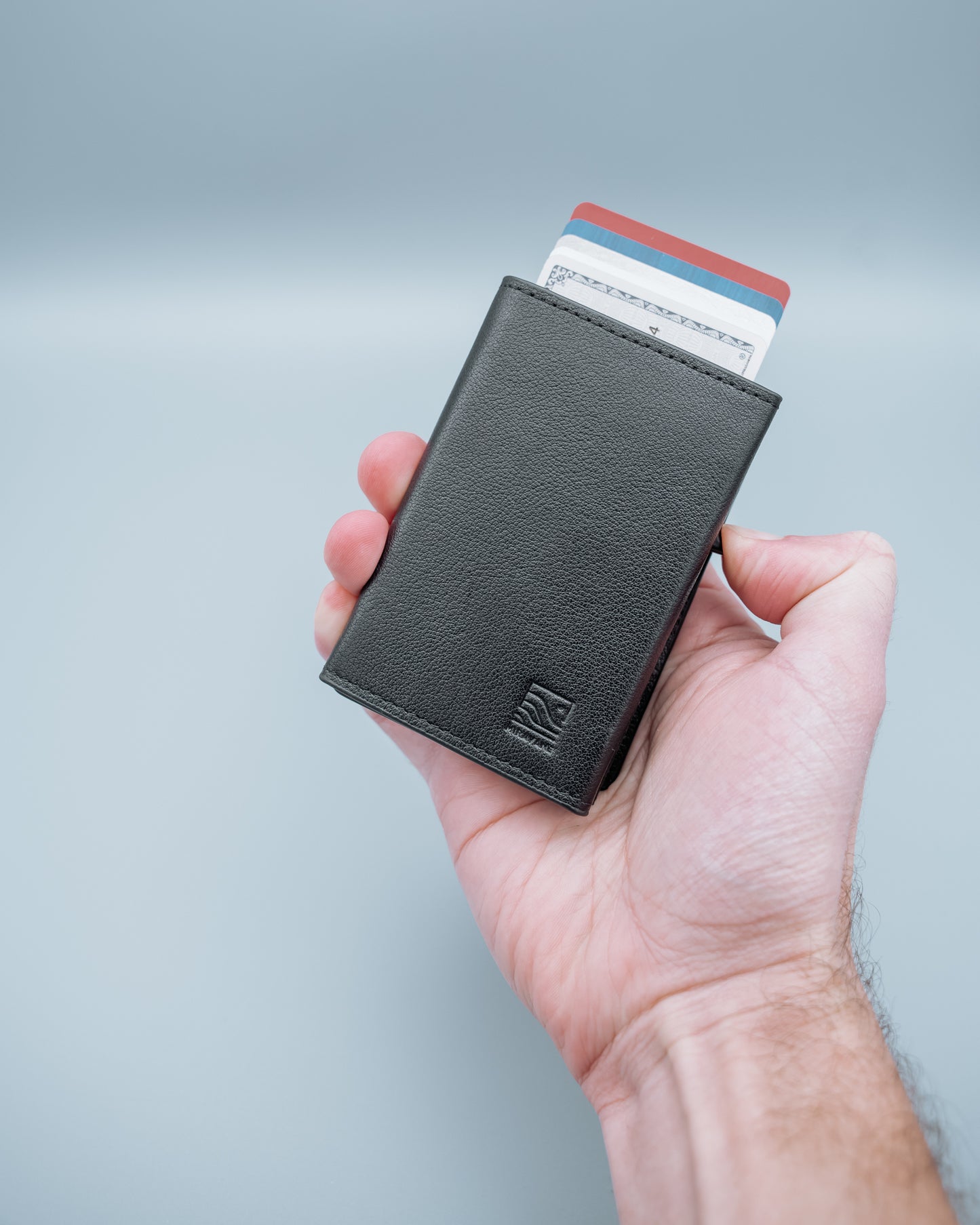 Savanna Wallet