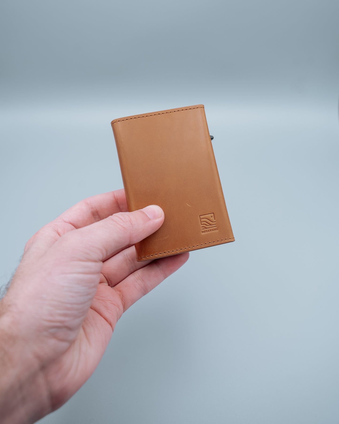 Savanna Wallet