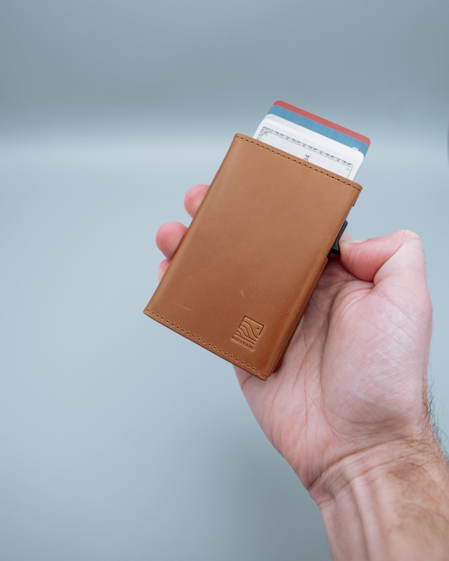 Savanna Wallet
