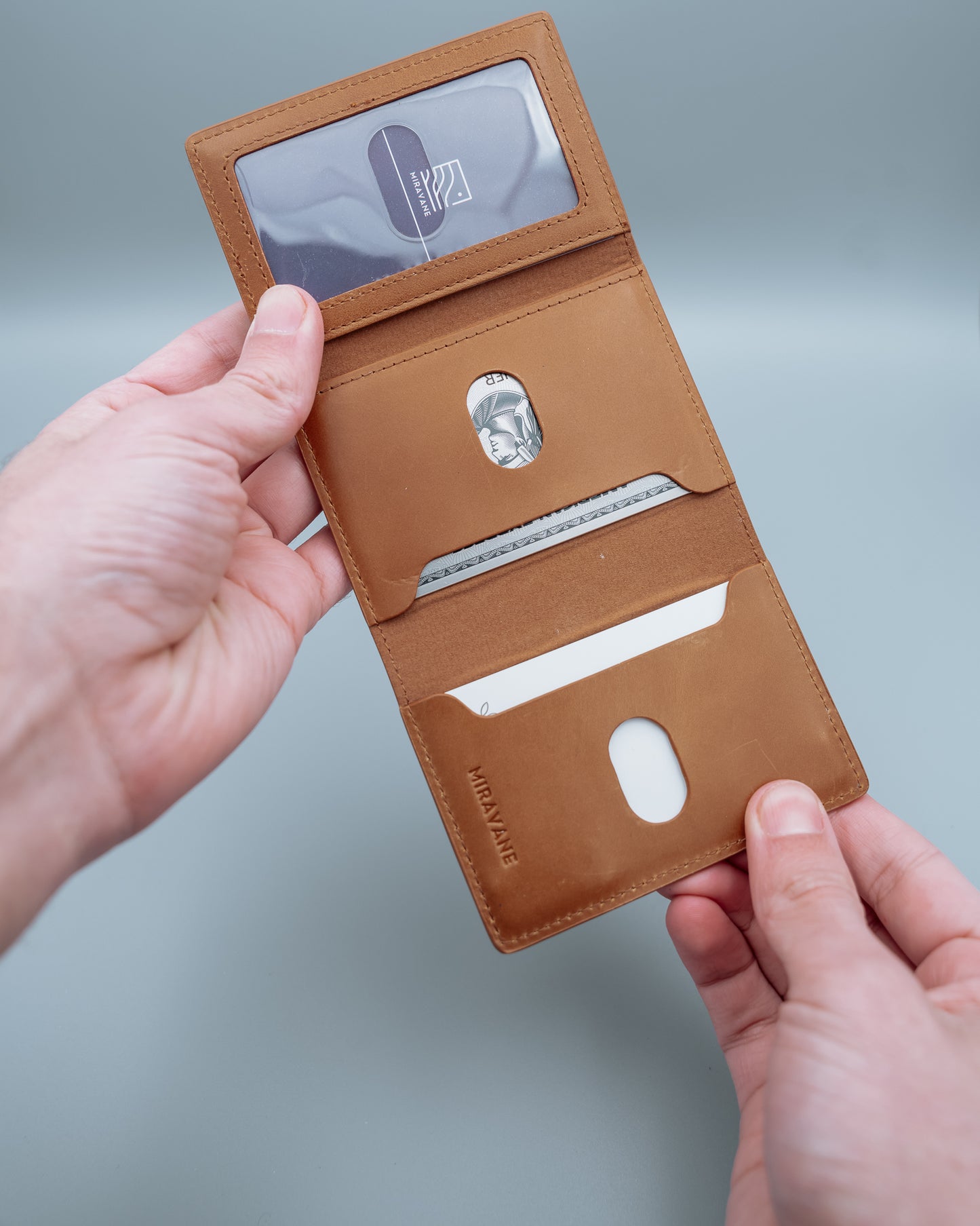 Savanna Wallet