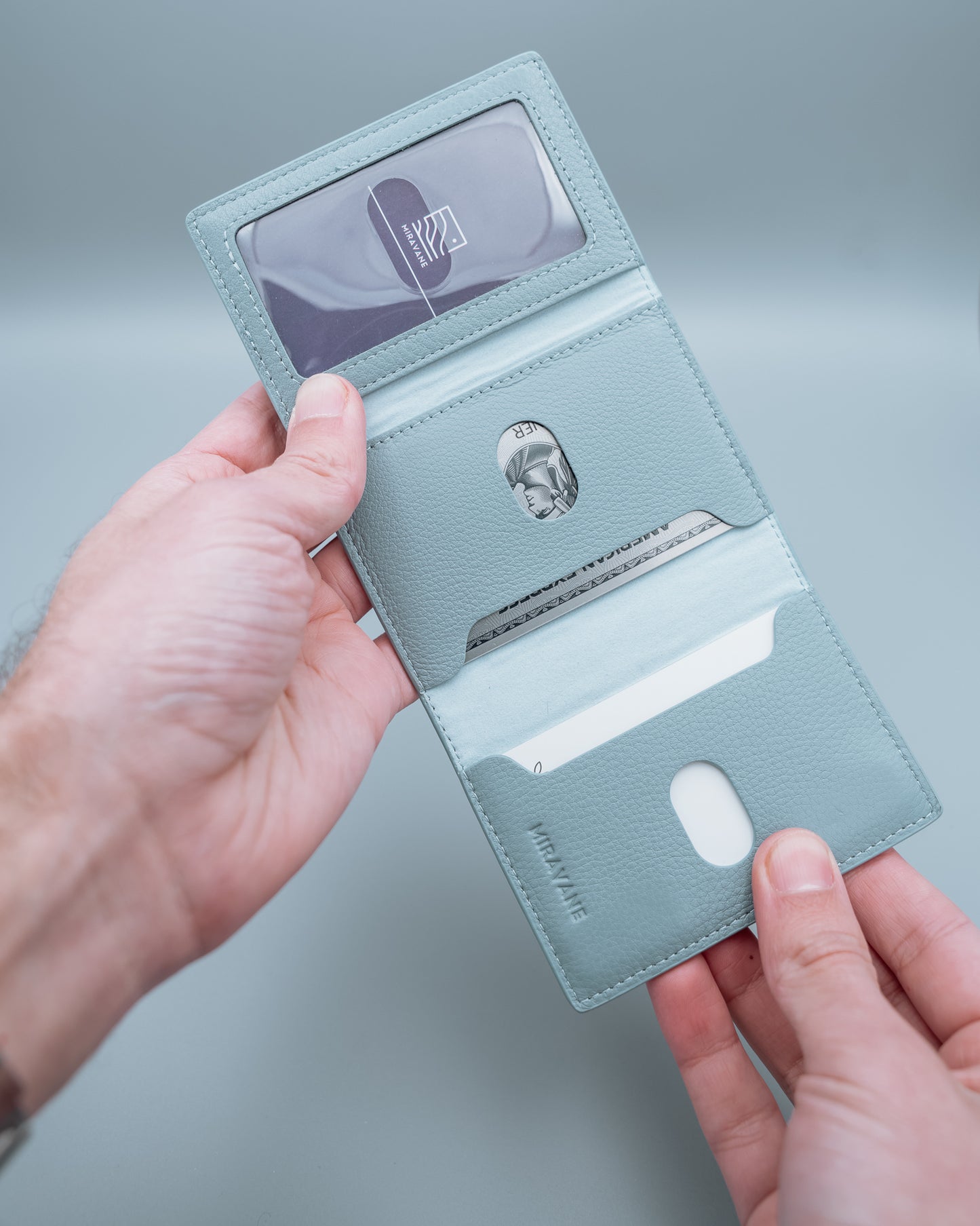 Savanna Wallet