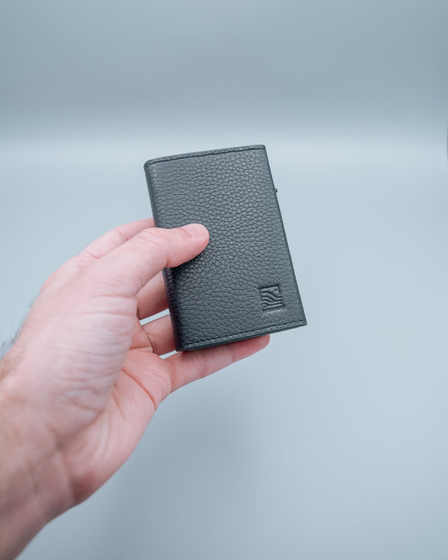 Savanna Wallet