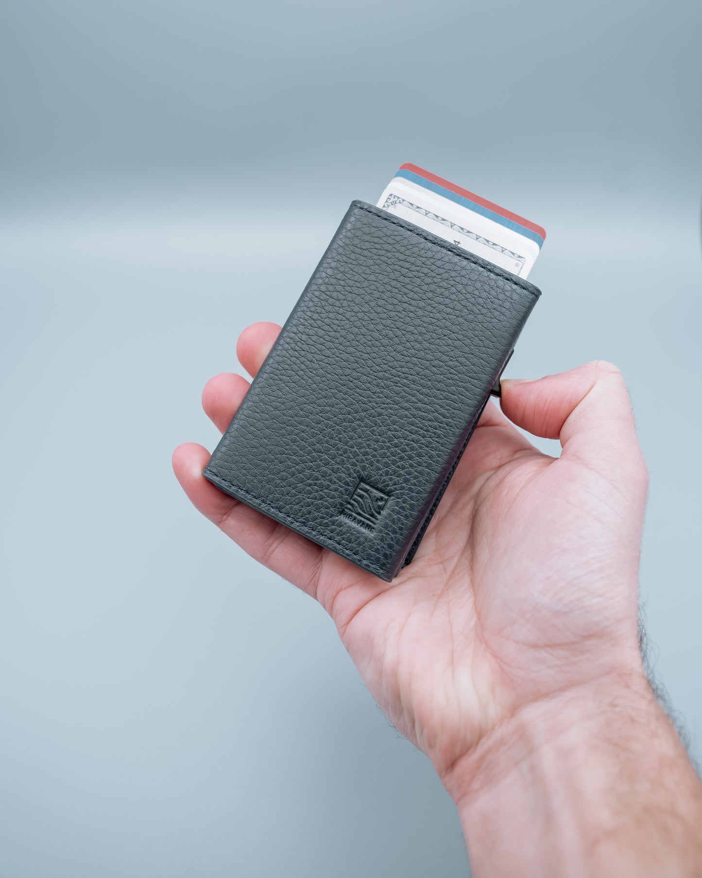 Savanna Wallet