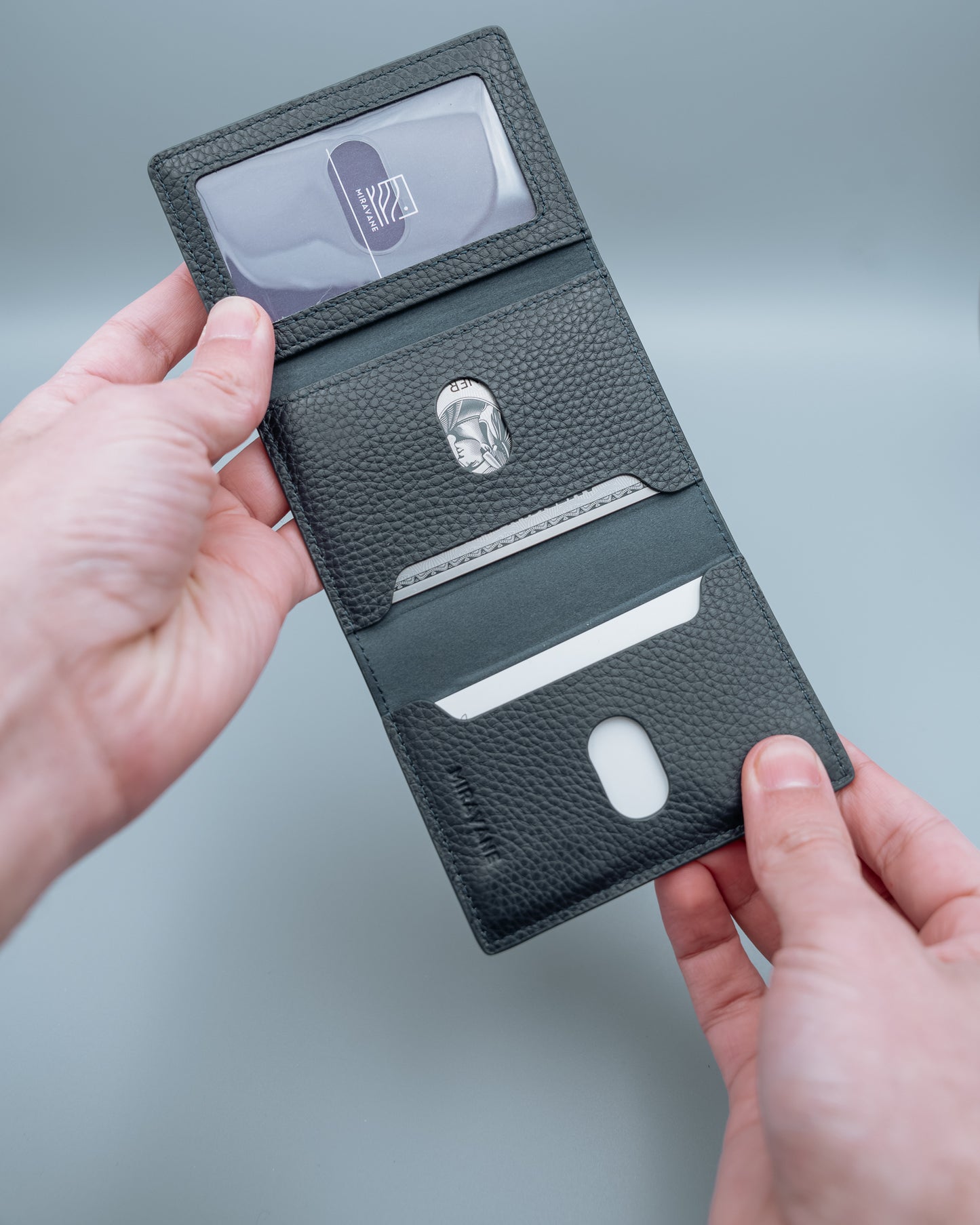 Savanna Wallet